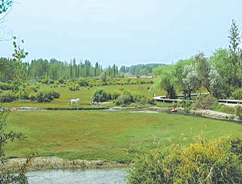 中經評論：以發展“含綠量”提升增長“含金量”